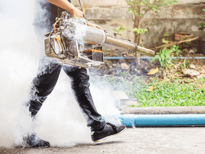 About Mosquito Fogging East Pensacola Heights - mosquito fogging experts in East Pensacola Heights