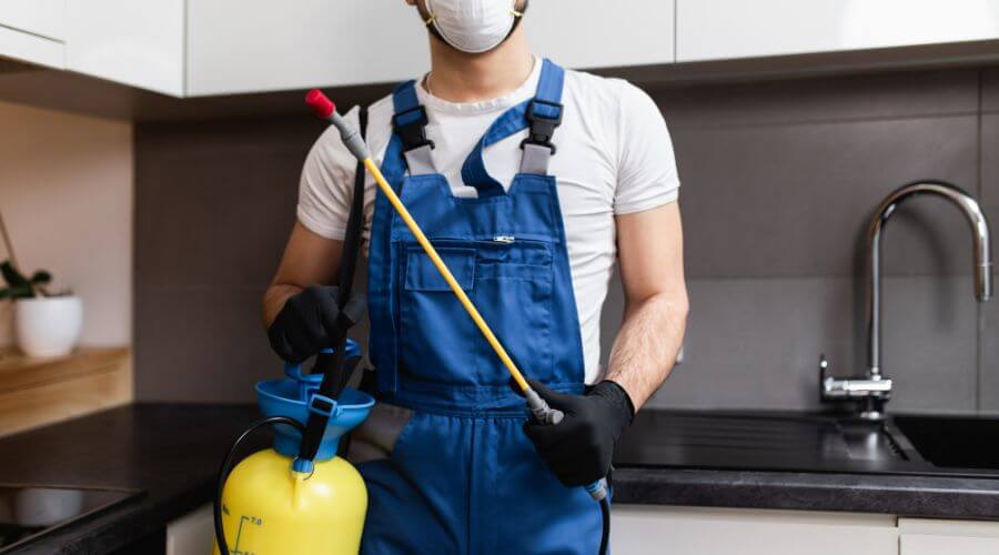 Why choose Mosquito Fogging East Pensacola Heights for mosquito fogging in East Pensacola Heights